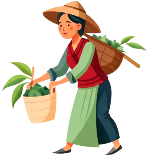 Farm Pick Girl
